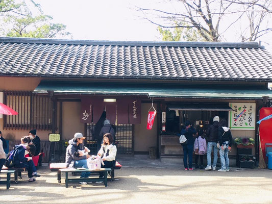 岐阜公園＿ピクニック・芝生広場＿004