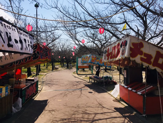 碧南明石公園＿桜・お花見情報＿005