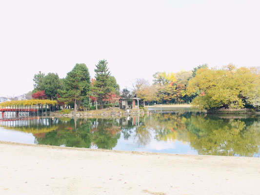 天王川公園＿季節の花・植物＿005