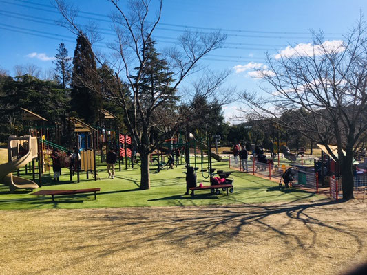 都市緑化植物園＿芝生広場_003