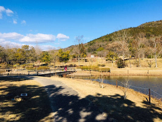 都市緑化植物園＿池_002