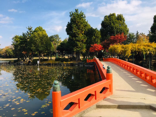 天王川公園＿ピクニック・芝生広場＿001