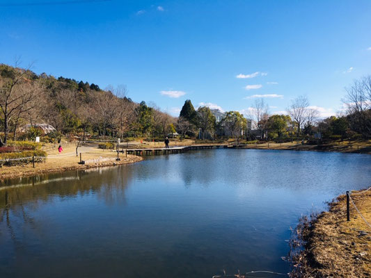 都市緑化植物園＿池_003