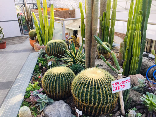 都市緑化植物園＿緑と花の休憩所_003