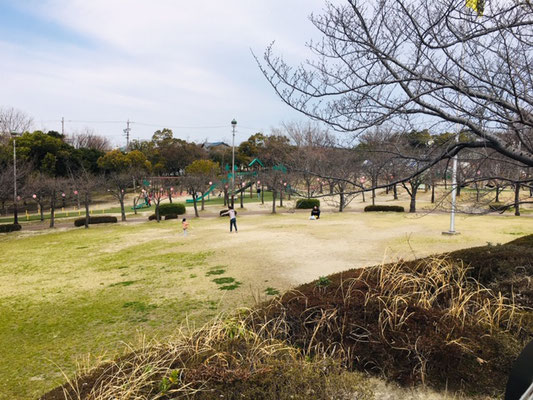 碧南明石公園＿ピクニック・芝生広場＿002