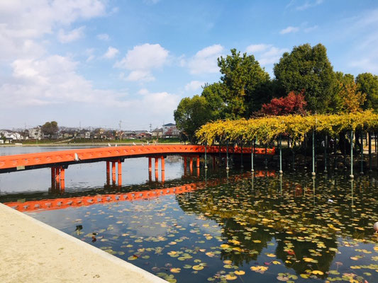 天王川公園＿ピクニック・芝生広場＿002