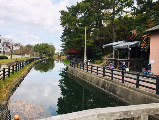 天王川公園＿ピクニック・芝生広場＿004