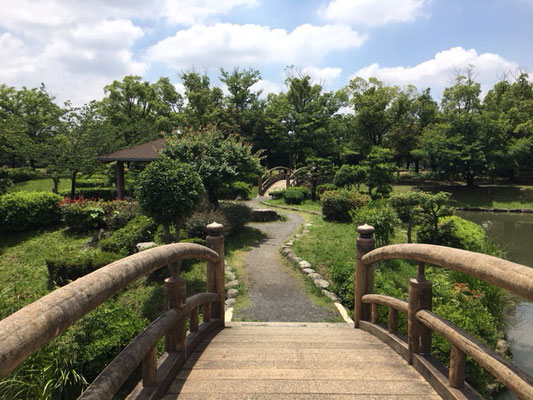 落合公園＿芝生広場_004