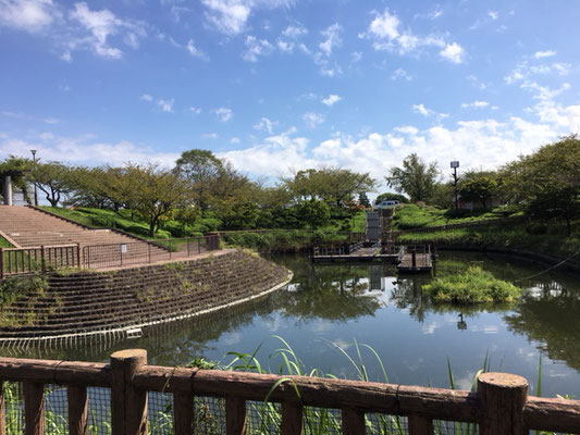 荒子川公園＿デイキャンプ場の脇には池も