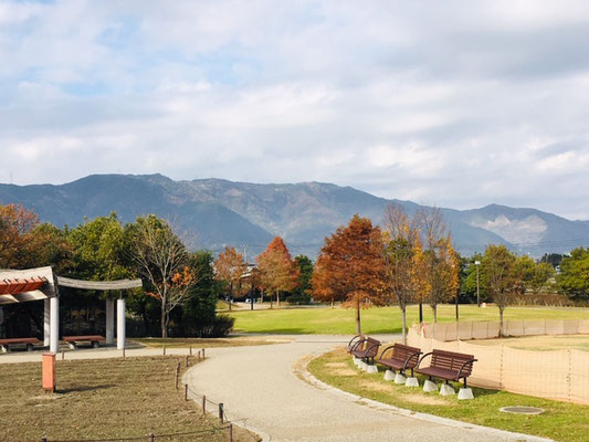 木曽三川公園センター＿季節の花・植物＿004