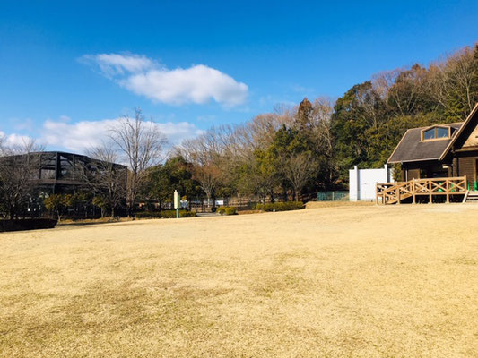 都市緑化植物園＿芝生広場_002