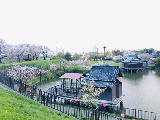 蛇池公園の桜_012