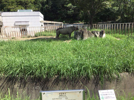 東山動植物園＿北園_サイ