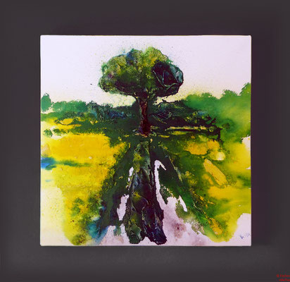 Baum im Rapsfeld, Acryl mixed media, 2014, 70x70x2, 