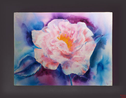 Rose rosé, Acryl, 2016, 90x70x2, sold