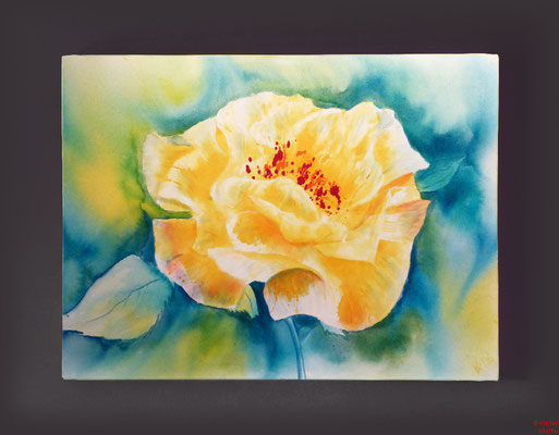Rose gelb, Acryl, 2016, 80x60x2, sold