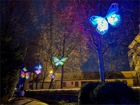 Schmetterlingsluftballon