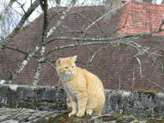 Die Wächterin am Tor, sie ließ uns nicht aus den Augen