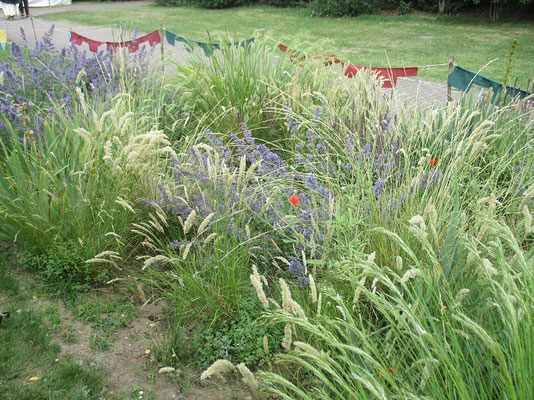 Schön mal ein Lagerplatz mit eigenem "Kräutergarten" hinter dem Tarp zu haben