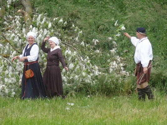 Die Hohenberger bei der Baumwollernte :)