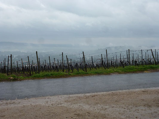 Die Abtei unterhält ein großes Weingut