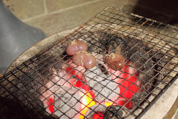 なんとウサギの腎臓！！