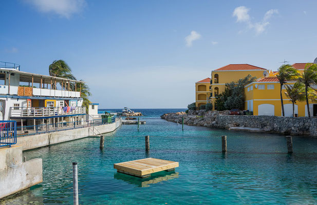 sea-aquarium-urlaub-curacao-ferienhaus-karibik