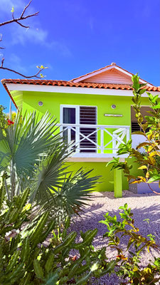 Ferienhaus-CAS-IGUANA-Urlaub-Curacao-Karibik-Villapark-Fontein