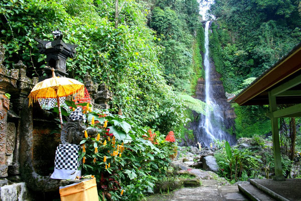 A shorter route covers the Jatiluwih rice terraces scenery, Ulun Danu temple at lake Beratan as well as a stop at the 35 meters high GitGit Waterfall. From here, it is only a 15 minutes drive to Lovina.