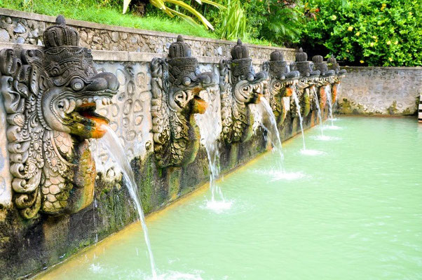 At the end of the day you get the chance to relax in the 37 degrees hot water at Holy Hot Springs, located in a wonderful tropical garden.