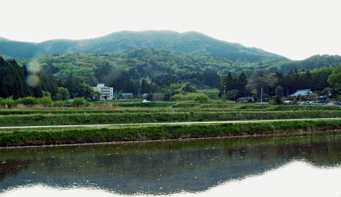 帰り道10  難台山　田植え前の田んぼに映るさかさ難台山。