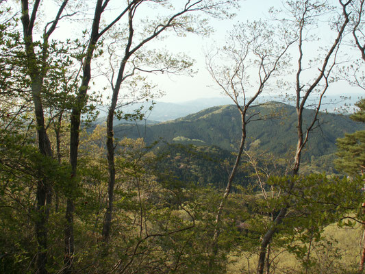 帰り道3　帰り道からの風景。新緑が美しい。