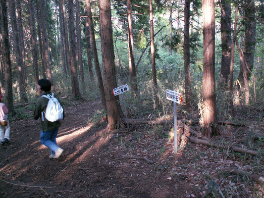 帰り道5　難台山頂から帰り道。親切な案内板。今回は、ここを右折しました。