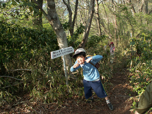 帰り道1　難台山頂から帰り道は難台山東登り口方面へ。