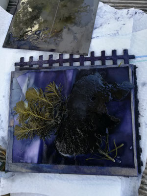 Blauholz-Druck auf Papier