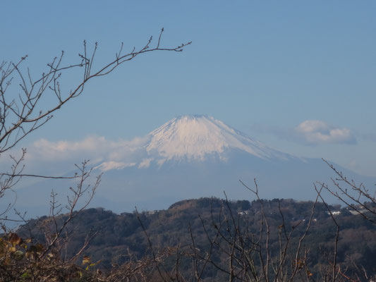 途中での富士山絶景
