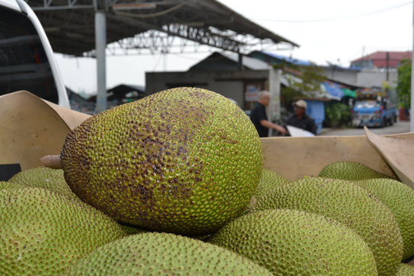 Fruits à pain