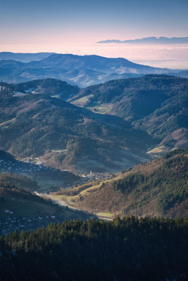 Blick vom Katzenkopf (Mummelsee), Nordschwarzwald, Baden-Württemberg, Deutschland
