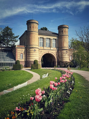 Botanischer Garten Karlsruhe, Baden-Württemberg, Deutschland