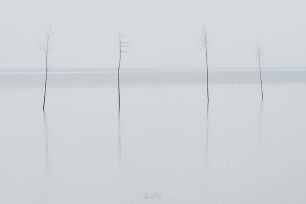 Prielkennzeichnung, Nordsee, Deutschland