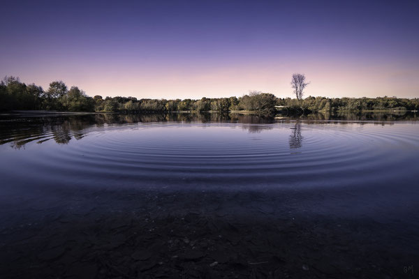 Fermasee Rheinstetten, Baden-Württemberg, Deutschland