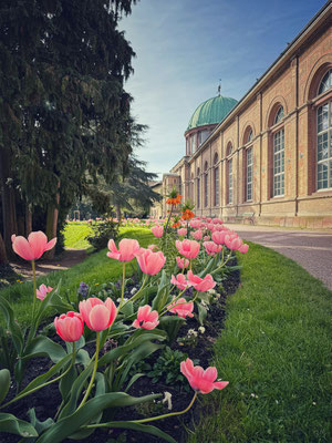 Botanischer Garten Karlsruhe, Baden-Württemberg, Deutschland