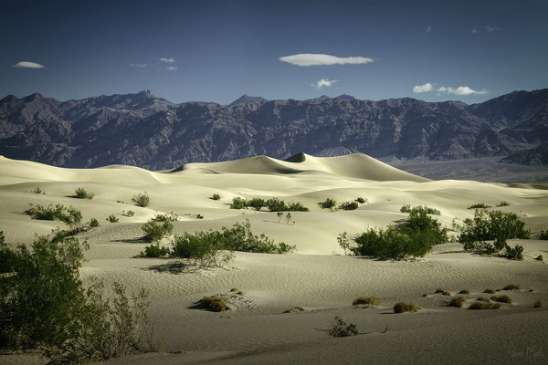 Sand Dunes, Death Valley, Nevada, USA