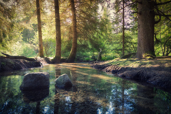 Zauberwald Bernau, Hochschwarzwald, Deutschland