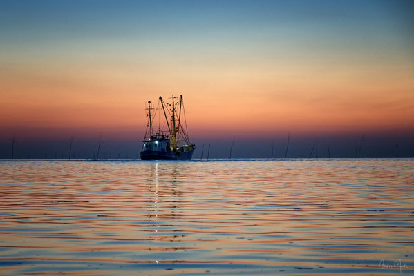 Auslaufender Fischkutter, Nordsee, Deutschland