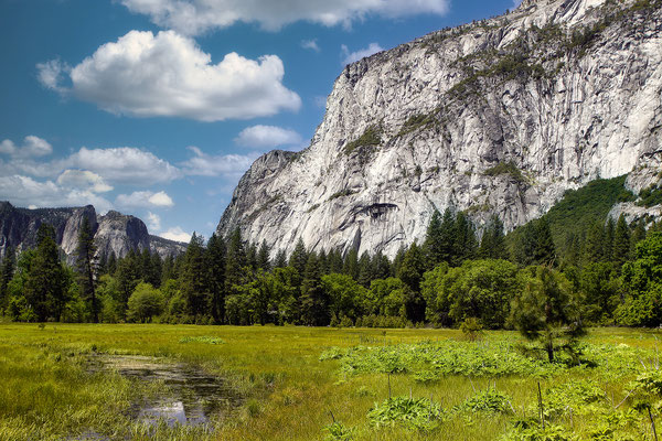 Yosemite National Park, California, USA