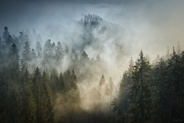 Schwarzwald, Baden-Württemberg, Deutschland