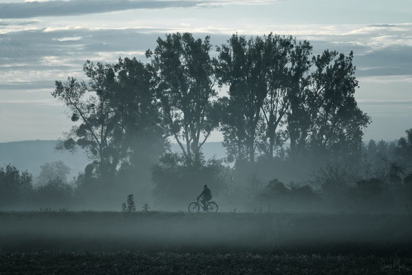Fahrradfahrer, Baden-Württemberg, Deutschland