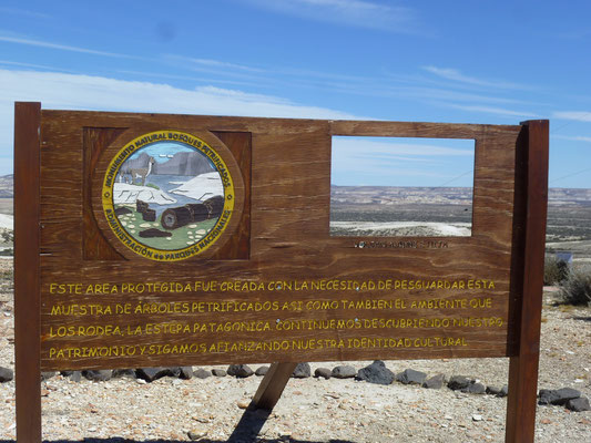 Nationalpark Bosque Petrification