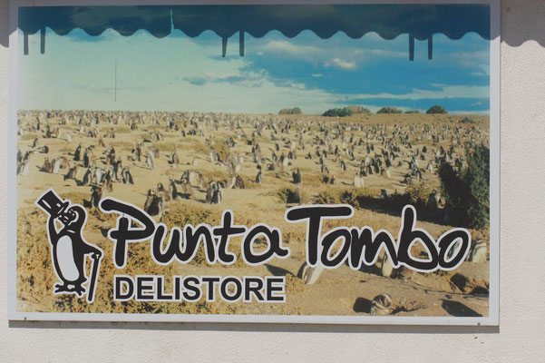 Punto Tomba wo die vielen Pinguine leben